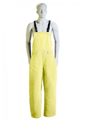 Arc 100 Bib Overall Pants